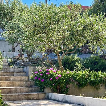 Villa Bua - Beautiful Seafront Apartments 特罗吉尔 外观 照片