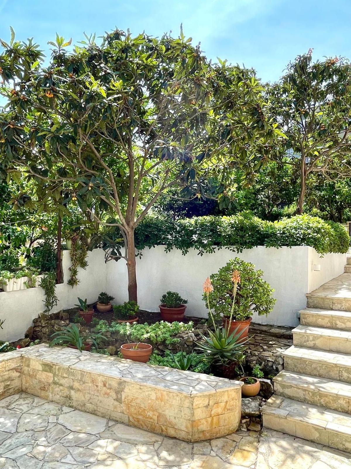 Villa Bua - Beautiful Seafront Apartments 特罗吉尔 外观 照片