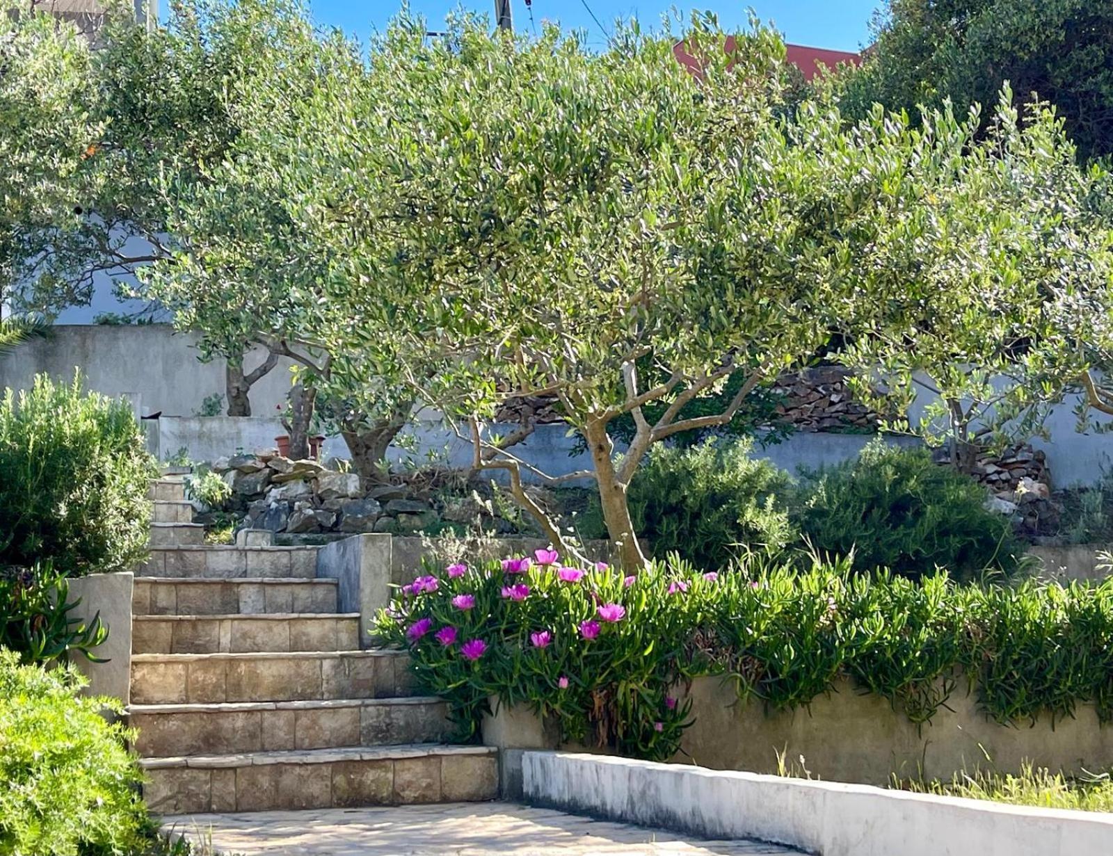 Villa Bua - Beautiful Seafront Apartments 特罗吉尔 外观 照片